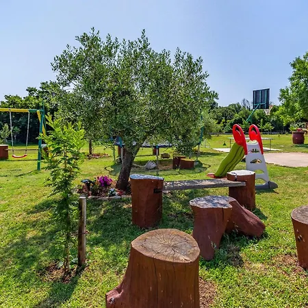 Apartment Amazing In With Wifi