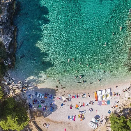 Amazing In With Wifi Pula